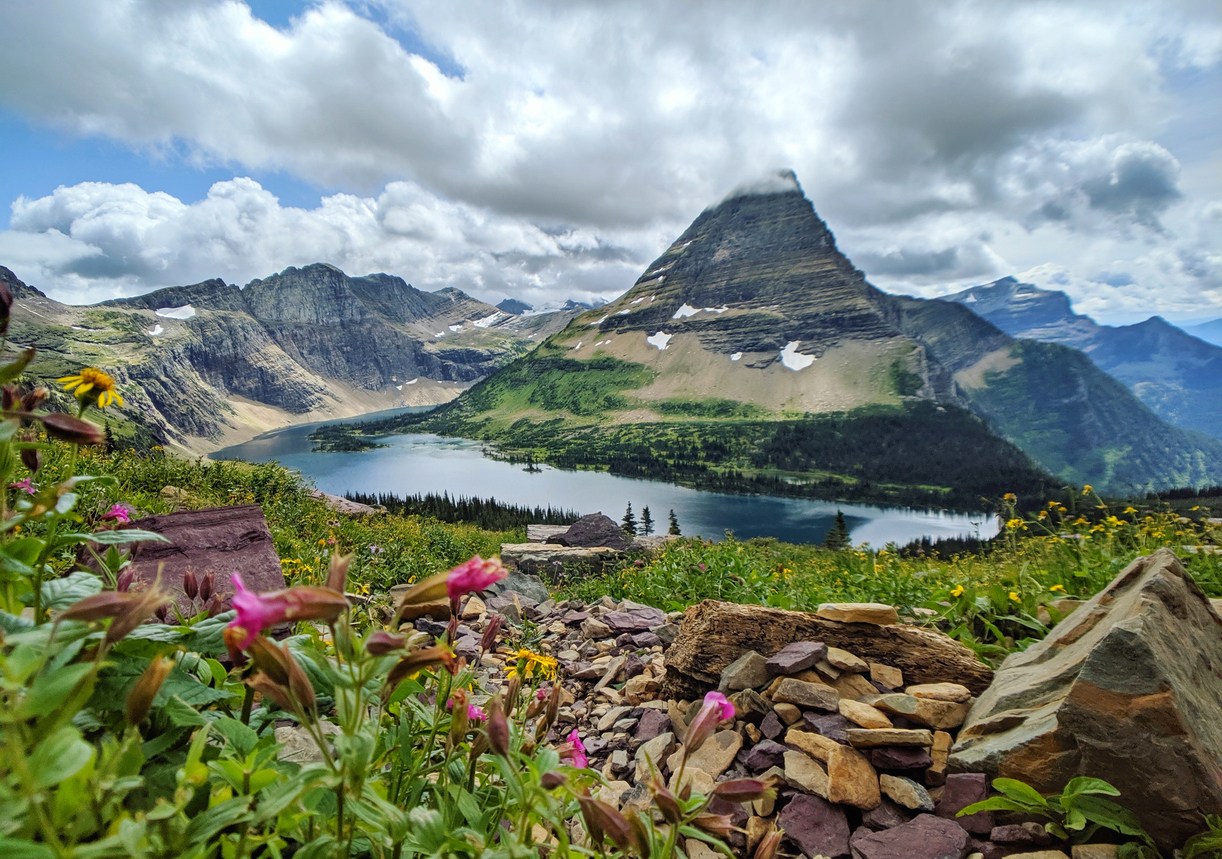 alpine glory, summertime