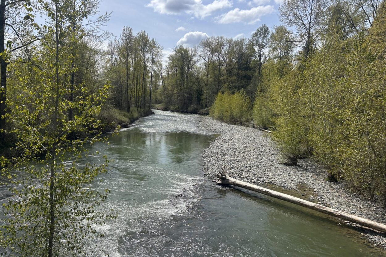 Qigong outside, Tolt River